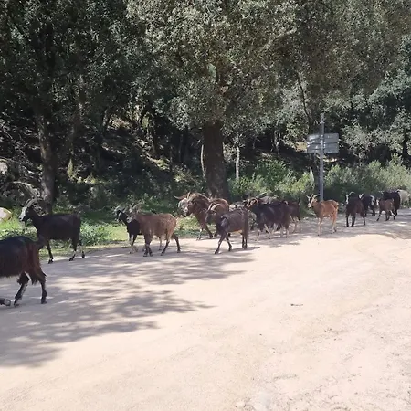 Stellalilou * Porto-Vecchio (Corsica)